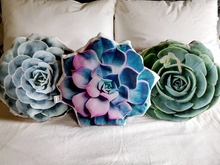 Load image into Gallery viewer, Succulent Plant Accent Pillow, 3d Succulent Shaped Cushion, Succulent Gift, Plant Gift, Pillow Gift