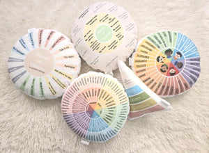 Circle of Control Pillow, Control Wheel, Therapist Gift, Counselling School Office Decor, Therapist Tool, Therapist Gift