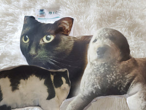 Custom Pet 3D Pillow, Personalized Pet Cushion, Pet Memorial Gift, Stuffed Pet Cushion, Dog Cat Pillow