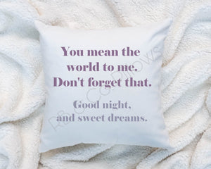 You Mean the World To Me Gift Inspirational Motivational Pillow Cushion 16x16  Quote Love Couple COVER + INSERT