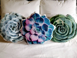 Succulent Plant Accent Pillow, 3d Succulent Shaped Cushion, Succulent Gift, Plant Gift, Pillow Gift